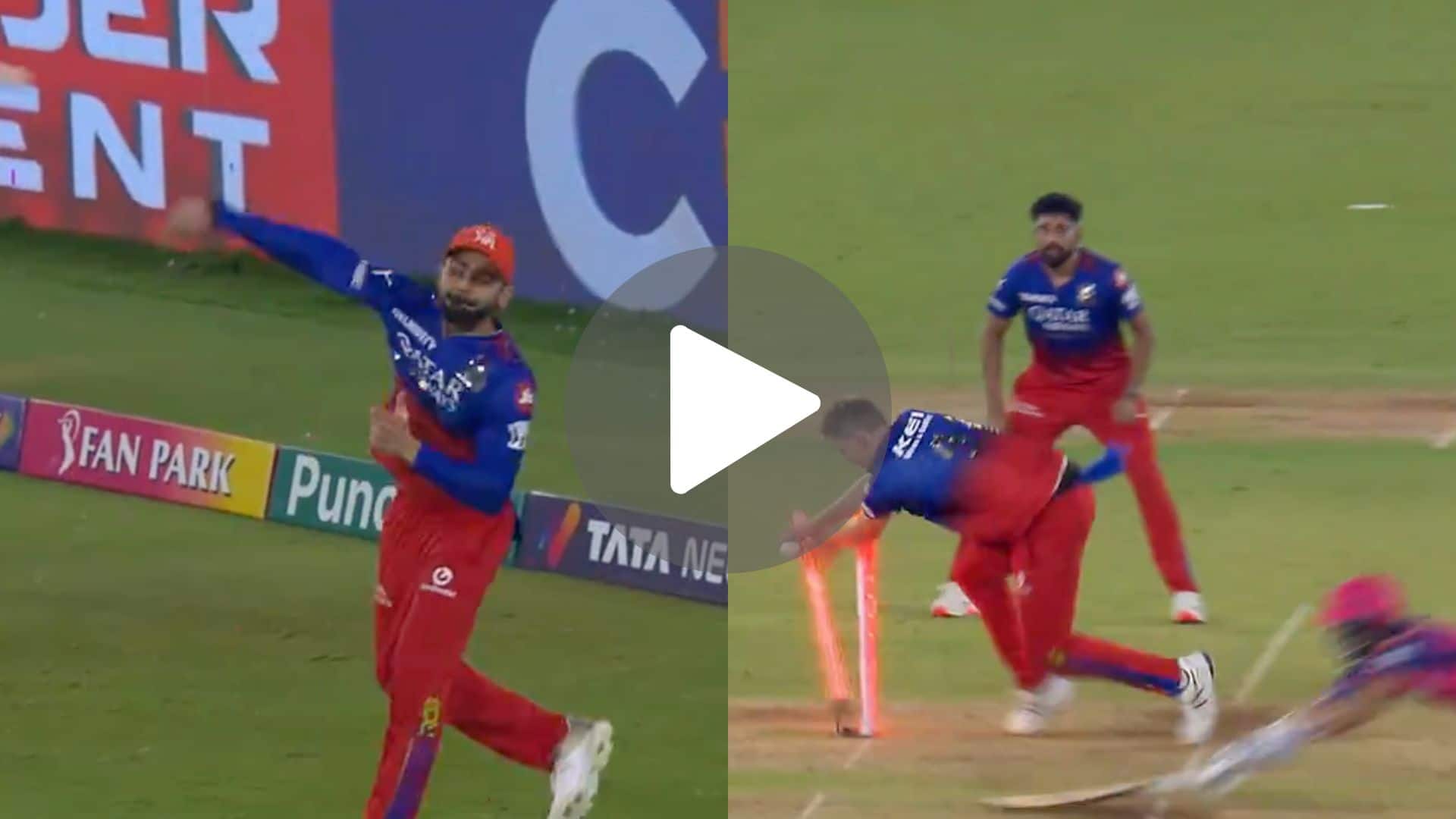 [Watch] Virat Kohli Puts 'Best Fielding Effort Of IPL 2024' As His Bullet Throw Gets Dhruv Jurel